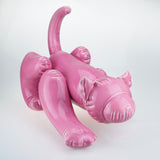 NEW! Medium Sized Pink Inflatable Cat