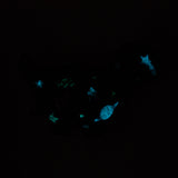 NEW Wall-O-Saurus (Cobalt with Glow in the Dark Outer Space)